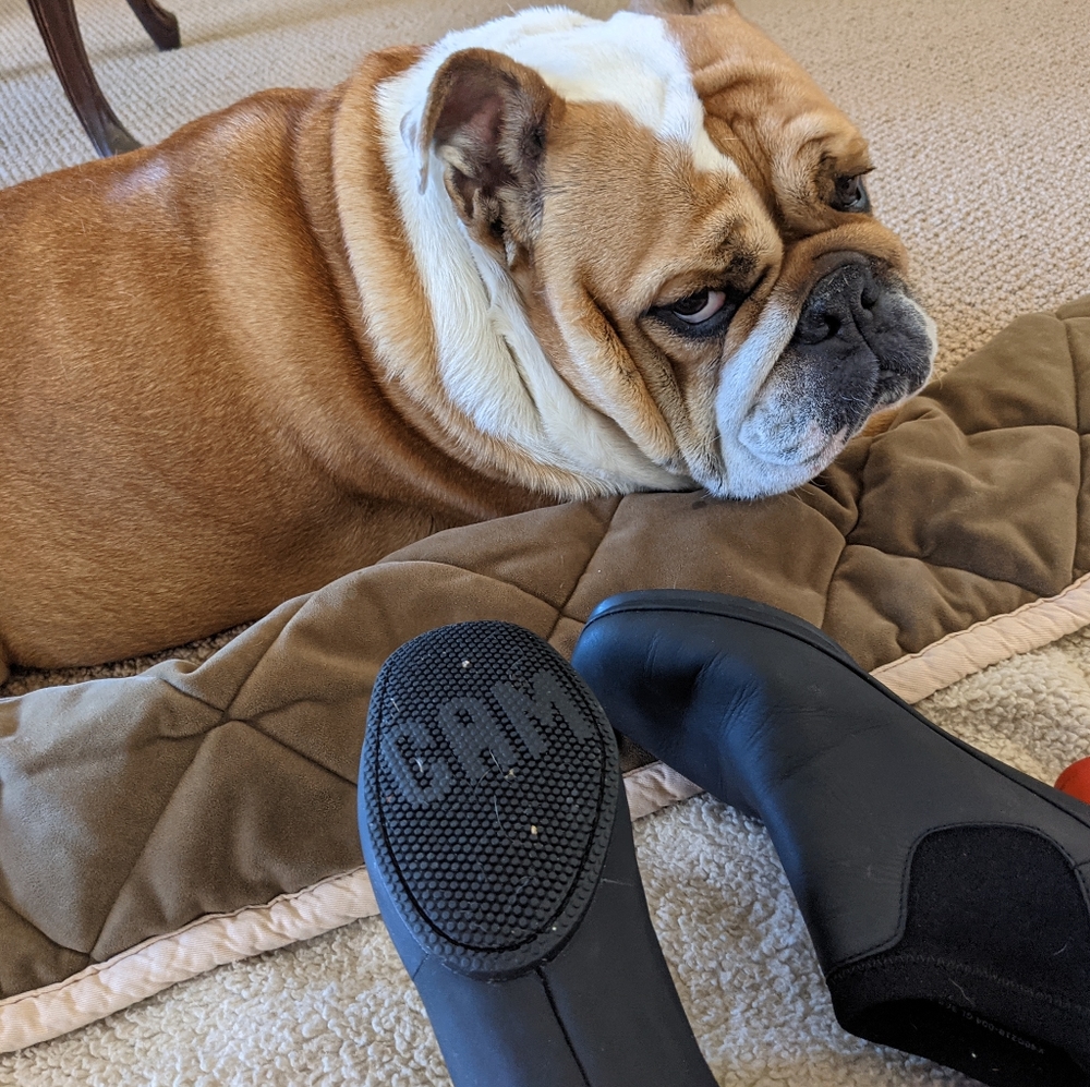 Camper low heel booties